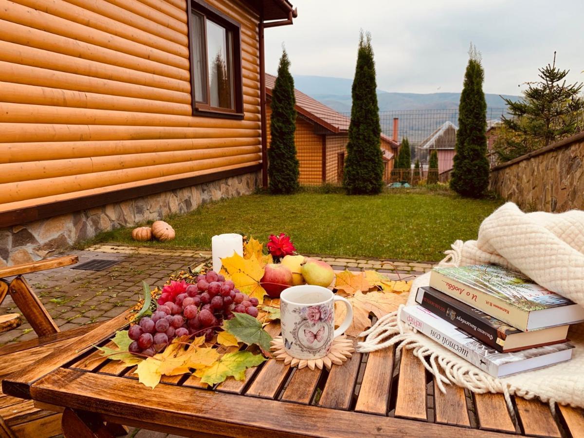 폴리아나 Solnce Karpat 빌라 외부 사진