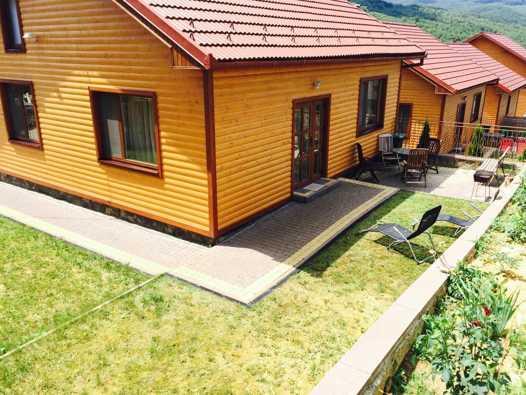 폴리아나 Solnce Karpat 빌라 외부 사진