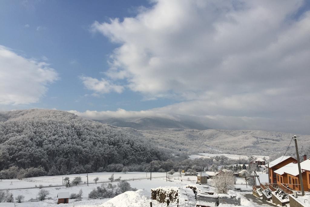 폴리아나 Solnce Karpat 빌라 외부 사진